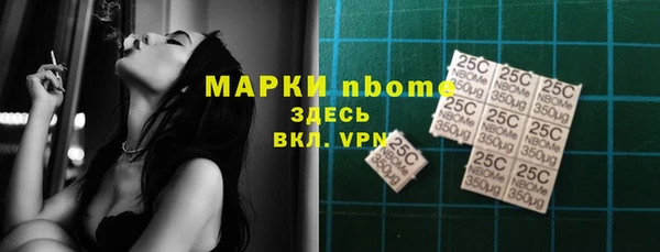 хмурый Алексин