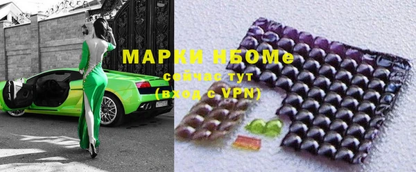 хмурый Алексин