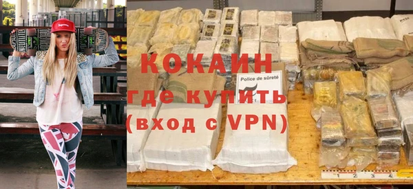 хмурый Алексин
