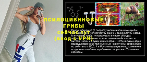 хмурый Алексин