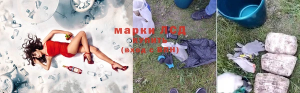хмурый Алексин