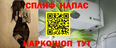 сатива Коммунар