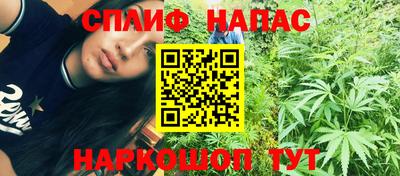 сатива Коммунар