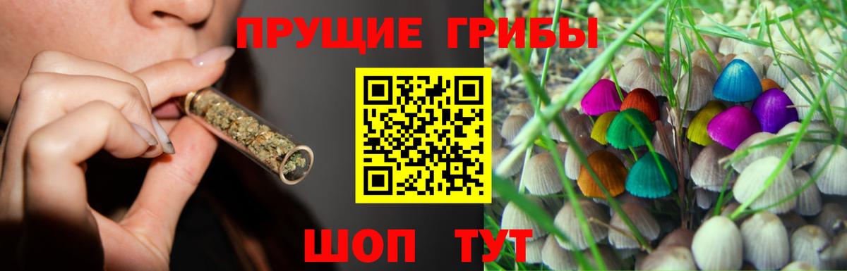 где купить   Вход с VPN  Котельники  Галлюциногенные грибы мухоморы 